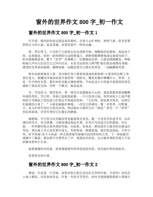 窗外的世界作文800字初一作文