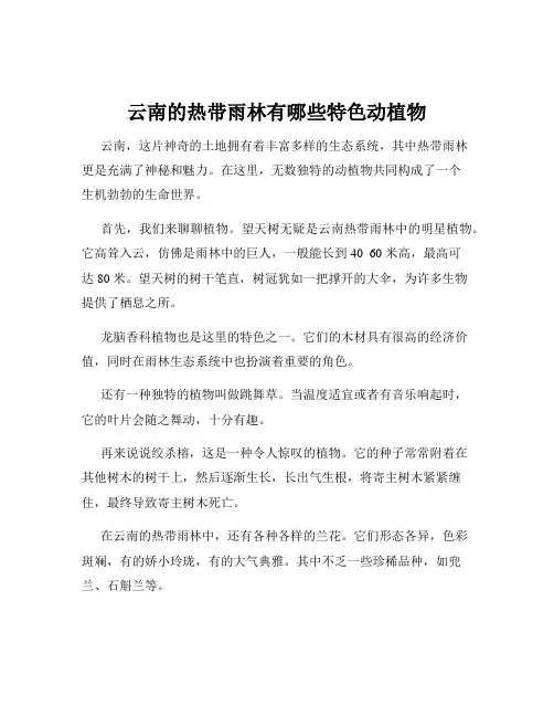 云南的热带雨林有哪些特色动植物