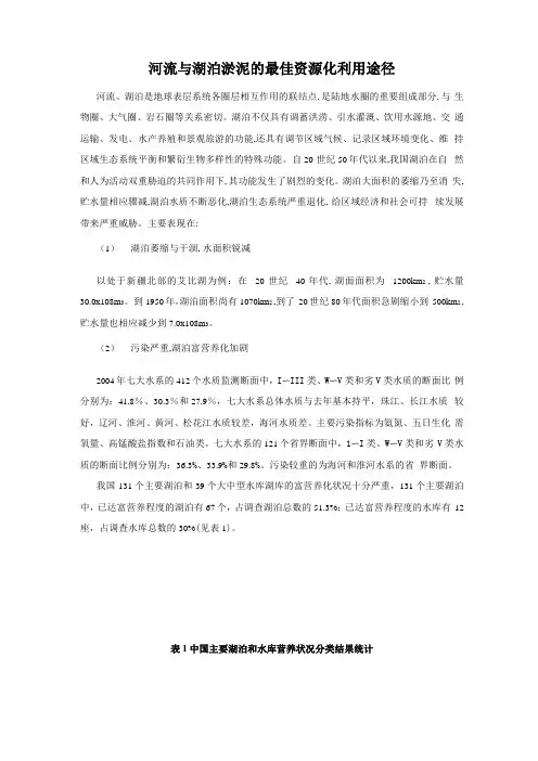 河流与湖泊淤泥的最佳资源化利用途径