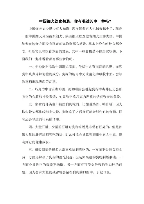 中国细犬饮食禁忌,你有喂过其中一种吗？