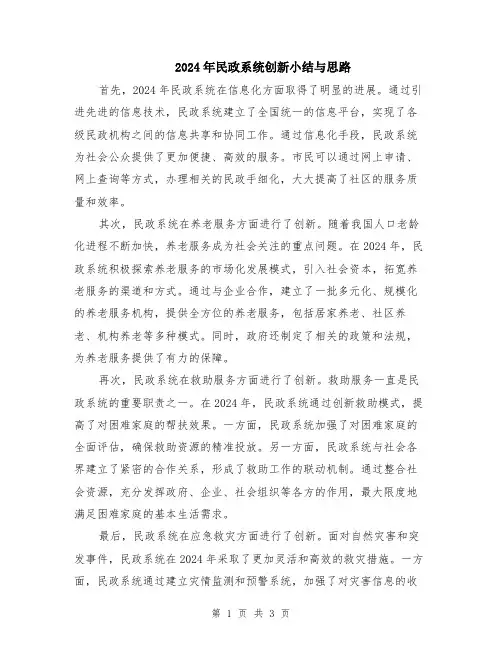 2024年民政系统创新小结与思路