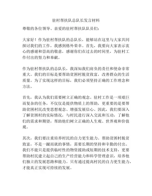 驻村帮扶队总队长发言材料