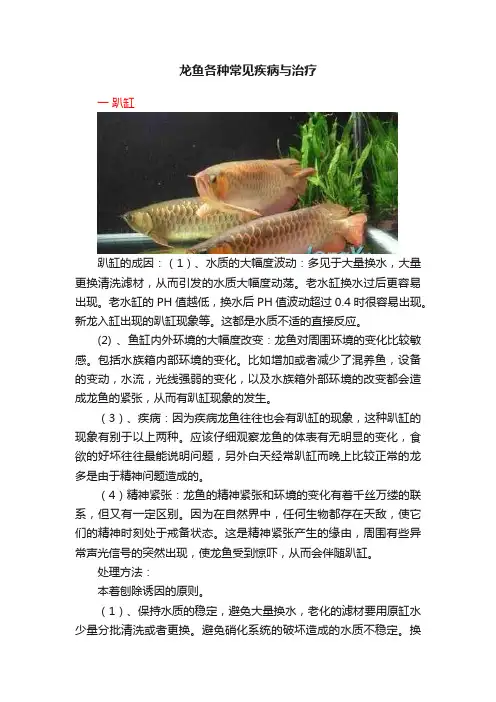 龙鱼各种常见疾病与治疗