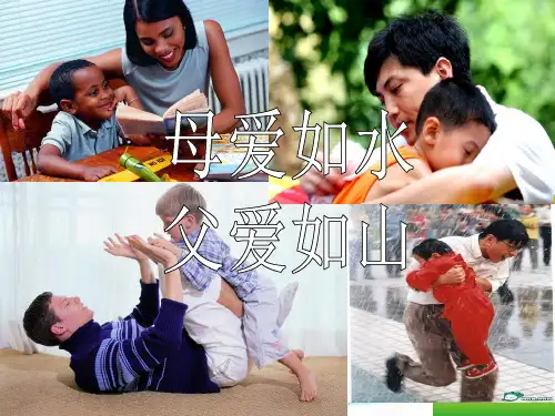 七年级语文上册 《父亲的谜语》课件 河大