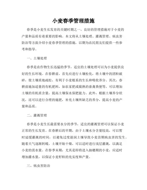 小麦春季管理措施