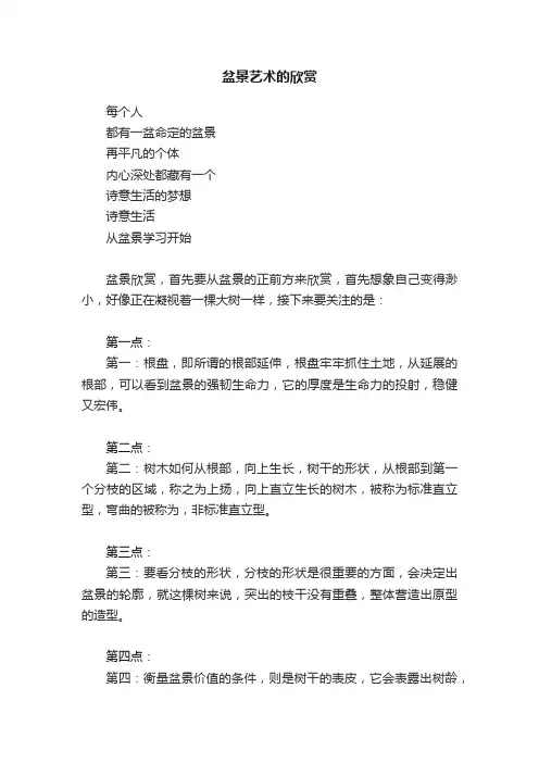 盆景艺术的欣赏