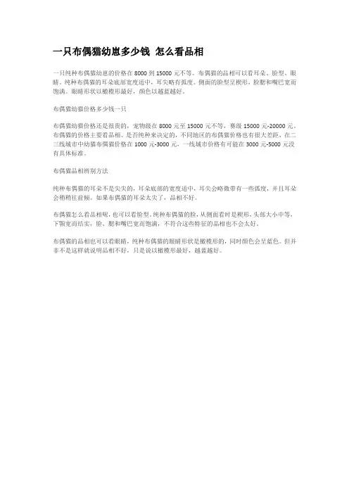 一只布偶猫幼崽多少钱
