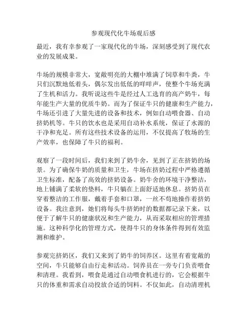 参观现代化牛场观后感