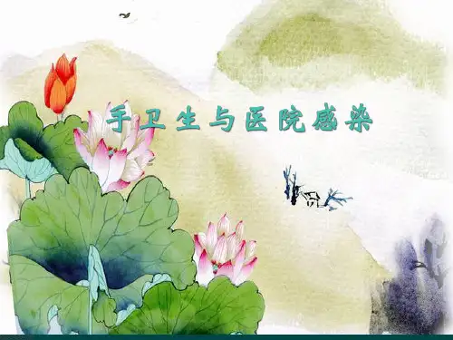 手卫生与医院感染PPT课件