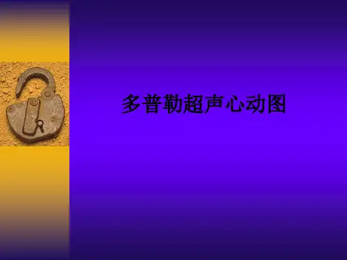 多普勒超声心动图ppt课件