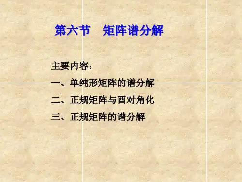 第四节矩阵谱分解PPT课件
