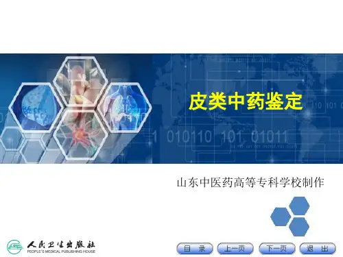 皮类中药的鉴定
