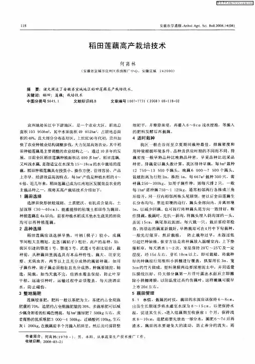 稻田莲藕高产栽培技术
