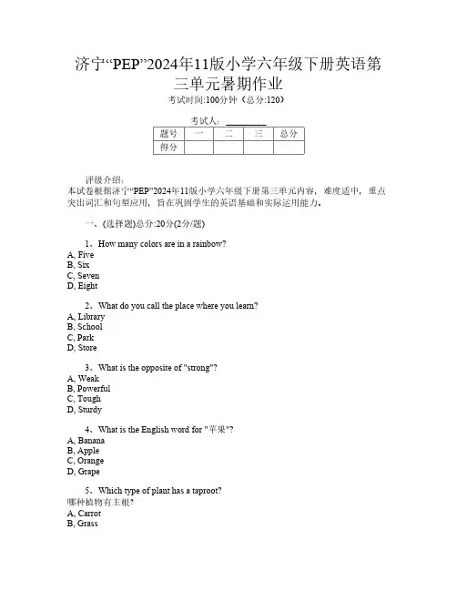 济宁“PEP”2024年11版小学六年级下册第12次英语第三单元暑期作业