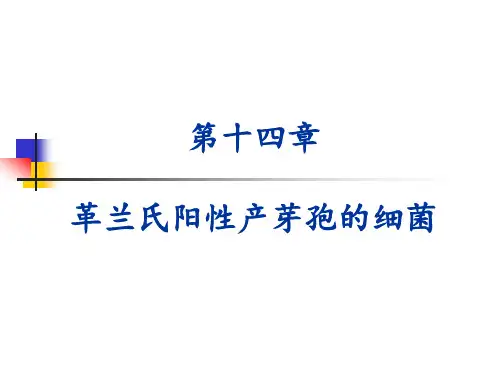 兽医微生物学课件-  革兰氏阳性产芽孢杆菌