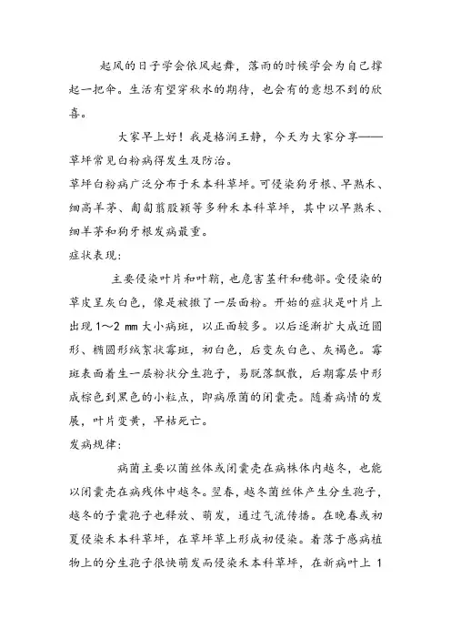 草坪白粉病