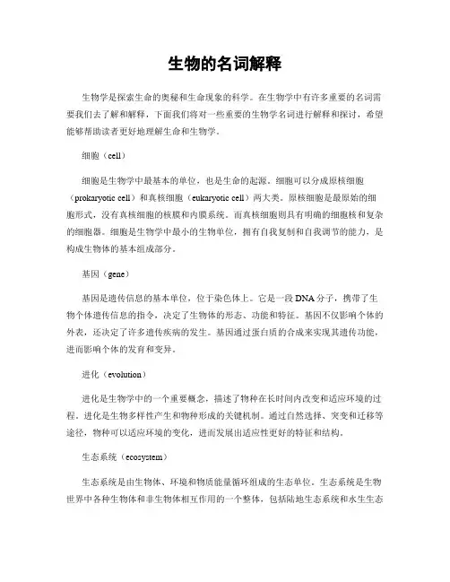 生物的名词解释