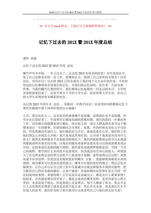 2019-记忆下过去的201X暨201X年度总结-范文模板 (6页)