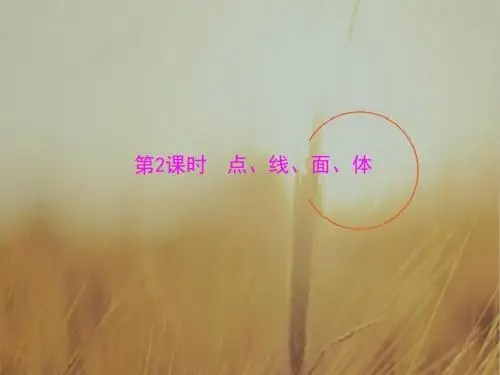 初中数学课件-点线面体3 最新