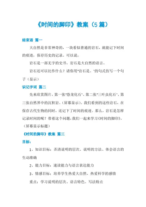 《时间的脚印》教案(5篇)