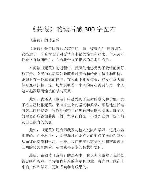 《蒹葭》的读后感300字左右