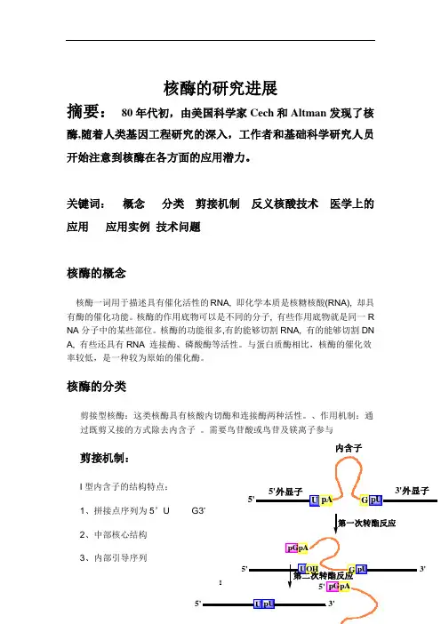 核酶的发现与应用