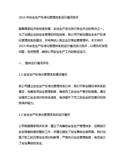 2023安全生产标准化管理体系运行情况自评
