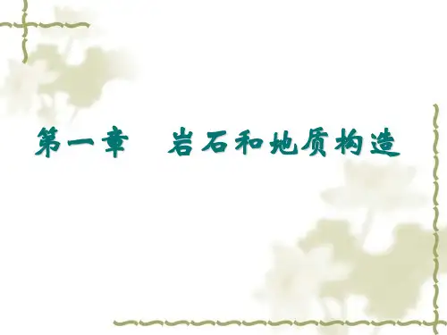 工程地质及土力学第1章(1)岩石和地质构造
