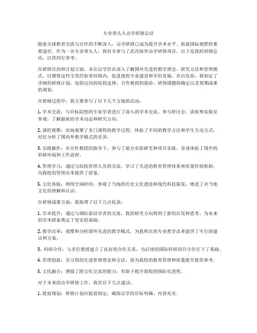 专业带头人访学研修总结