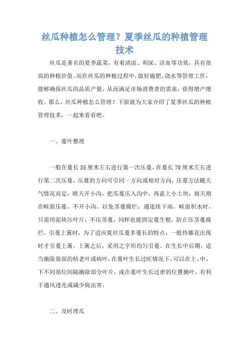 丝瓜种植怎么管理？夏季丝瓜的种植管理技术