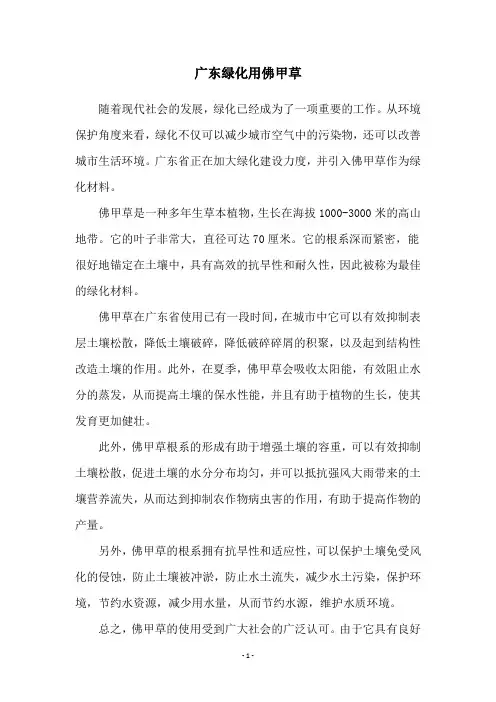 广东绿化用佛甲草