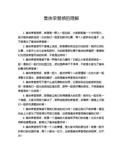 集体荣誉感的理解