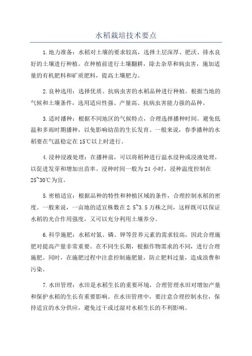 水稻栽培技术要点