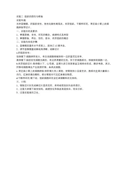 病理学实验二 组织损伤与修复