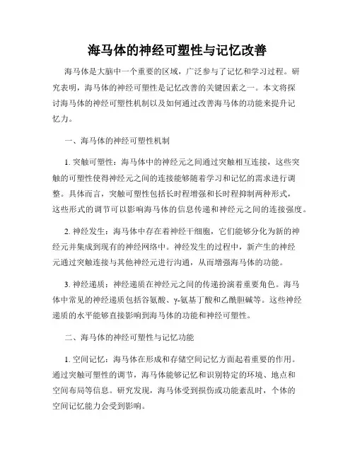 海马体的神经可塑性与记忆改善