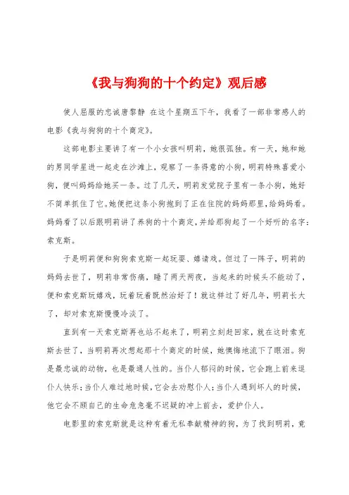 《我与狗狗的十个约定》观后感
