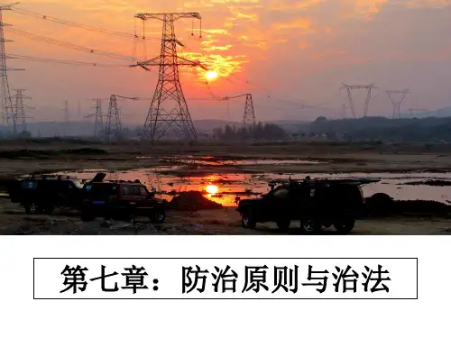 最新第七章：防治原则与治法幻灯片