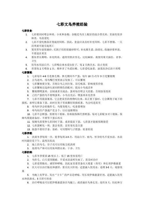 七彩文鸟