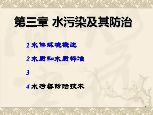 水污染及其防治PPT课件