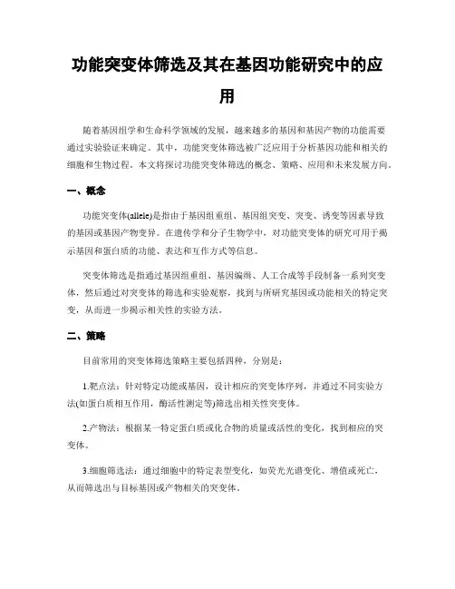 功能突变体筛选及其在基因功能研究中的应用