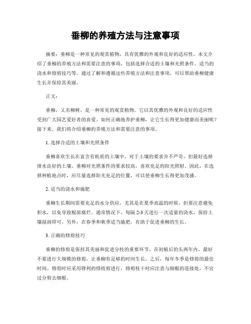 垂柳的养殖方法与注意事项