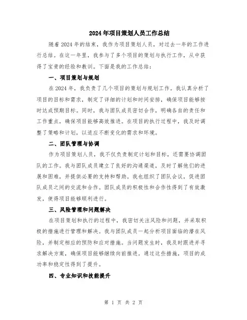 2024年项目策划人员工作总结