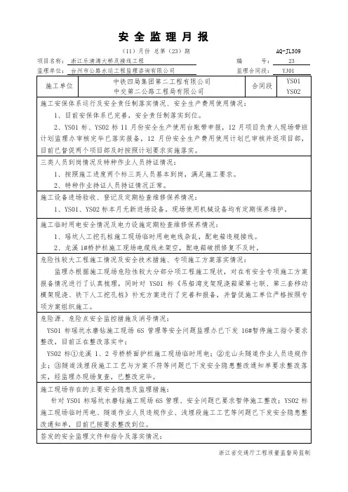 YJ01-安全月报11月份