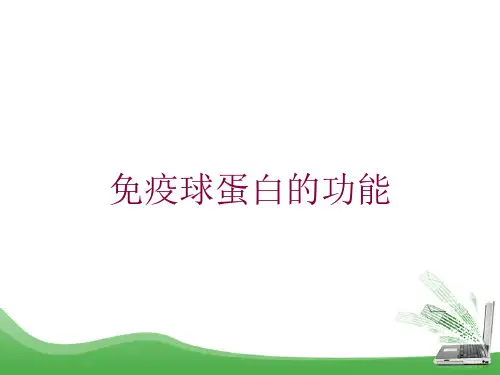 免疫球蛋白的功能培训ppt课件