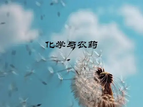 化肥和农药PPT精品课件