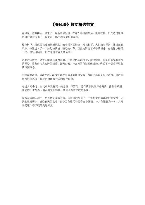 《春风暖》散文