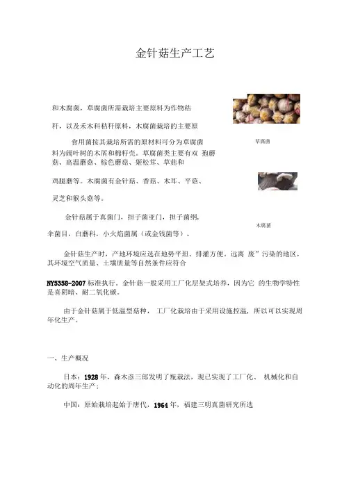 金针菇生产工艺详解