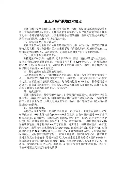 夏玉米高产栽培技术要点
