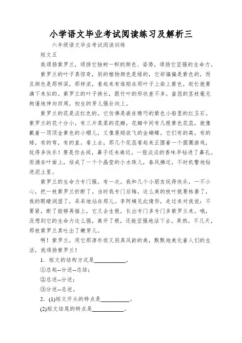 小学语文毕业考试阅读练习及解析三