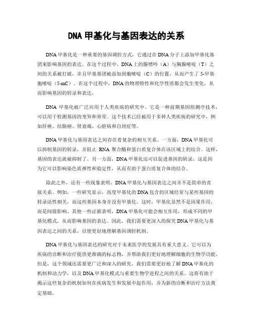 DNA甲基化与基因表达的关系